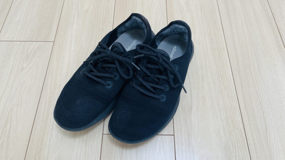 晴れの日用の靴